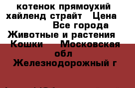 котенок прямоухий  хайленд страйт › Цена ­ 10 000 - Все города Животные и растения » Кошки   . Московская обл.,Железнодорожный г.